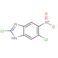 155596-79-5 2,6-dichloro-5-nitro-1H-benzimidazole chemical structure