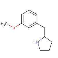 82589-41-1 2-[(3-methoxyphenyl)methyl]pyrrolidine chemical structure