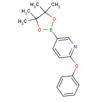 330792-76-2 2-phenoxy-5-(4,4,5,5-tetramethyl-1,3,2-dioxaborolan-2-yl)pyridine chemical structure