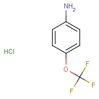 42823-24-5 4-(trifluoromethoxy)aniline;hydrochloride chemical structure