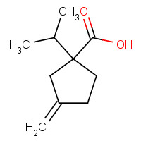 400770-71-0 3-methylidene-1-propan-2-ylcyclopentane-1-carboxylic acid chemical structure