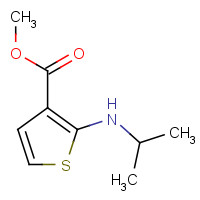 859204-09-4 methyl 2-(propan-2-ylamino)thiophene-3-carboxylate chemical structure