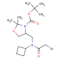 1284248-83-4 tert-butyl 4-[[(2-bromoacetyl)-cyclobutylamino]methyl]-2,2-dimethyl-1,3-oxazolidine-3-carboxylate chemical structure