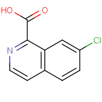 552850-71-2 7-chloroisoquinoline-1-carboxylic acid chemical structure