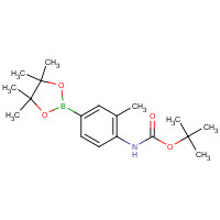 508223-54-9 tert-butyl N-[2-methyl-4-(4,4,5,5-tetramethyl-1,3,2-dioxaborolan-2-yl)phenyl]carbamate chemical structure