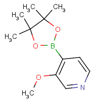 1243312-43-7 3-methoxy-4-(4,4,5,5-tetramethyl-1,3,2-dioxaborolan-2-yl)pyridine chemical structure
