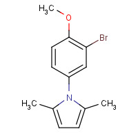 207110-41-6 1-(3-bromo-4-methoxyphenyl)-2,5-dimethylpyrrole chemical structure