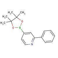 879291-26-6 2-phenyl-4-(4,4,5,5-tetramethyl-1,3,2-dioxaborolan-2-yl)pyridine chemical structure