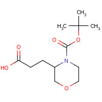 885274-05-5 3-[4-[(2-methylpropan-2-yl)oxycarbonyl]morpholin-3-yl]propanoic acid chemical structure