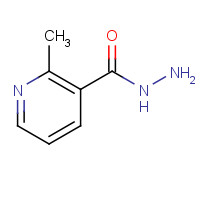 197079-01-9 2-methylpyridine-3-carbohydrazide chemical structure
