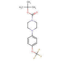 490030-45-0 tert-butyl 4-[4-(trifluoromethoxy)phenyl]piperazine-1-carboxylate chemical structure