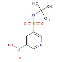 1314987-50-2 [5-(tert-butylsulfamoyl)pyridin-3-yl]boronic acid chemical structure