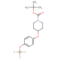 287952-66-3 tert-butyl 4-[4-(trifluoromethoxy)phenoxy]piperidine-1-carboxylate chemical structure