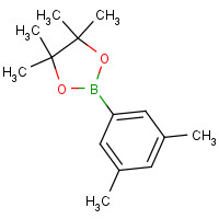 325142-93-6 2-(3,5-dimethylphenyl)-4,4,5,5-tetramethyl-1,3,2-dioxaborolane chemical structure