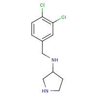 1289676-75-0 N-[(3,4-dichlorophenyl)methyl]pyrrolidin-3-amine chemical structure