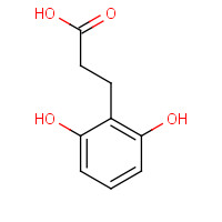 98114-50-2 3-(2,6-dihydroxyphenyl)propanoic acid chemical structure
