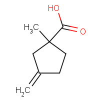 400770-57-2 1-methyl-3-methylidenecyclopentane-1-carboxylic acid chemical structure