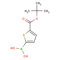 925921-29-5 [5-[(2-methylpropan-2-yl)oxycarbonyl]thiophen-2-yl]boronic acid chemical structure