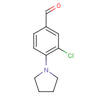 886500-61-4 3-chloro-4-pyrrolidin-1-ylbenzaldehyde chemical structure