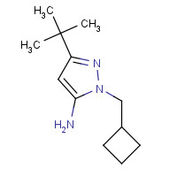 1018679-74-7 5-tert-butyl-2-(cyclobutylmethyl)pyrazol-3-amine chemical structure