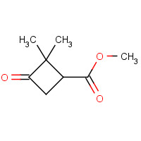 78685-51-5 methyl 2,2-dimethyl-3-oxocyclobutane-1-carboxylate chemical structure