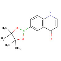 1201844-89-4 6-(4,4,5,5-tetramethyl-1,3,2-dioxaborolan-2-yl)-1H-quinolin-4-one chemical structure