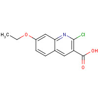 299937-64-7 2-chloro-7-ethoxyquinoline-3-carboxylic acid chemical structure