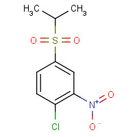 58880-51-6 1-chloro-2-nitro-4-propan-2-ylsulfonylbenzene chemical structure