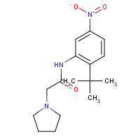 1135496-00-2 N-(2-tert-butyl-5-nitrophenyl)-2-pyrrolidin-1-ylacetamide chemical structure