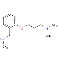 910037-06-8 N,N-dimethyl-3-[2-(methylaminomethyl)phenoxy]propan-1-amine chemical structure