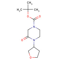 1284246-91-8 tert-butyl 3-oxo-4-(oxolan-3-yl)piperazine-1-carboxylate chemical structure