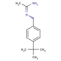 1039767-65-1 N'-[(4-tert-butylphenyl)methyl]ethanimidamide chemical structure