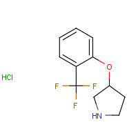 1185301-92-1 3-[2-(trifluoromethyl)phenoxy]pyrrolidine;hydrochloride chemical structure