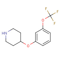 459819-38-6 4-[3-(trifluoromethoxy)phenoxy]piperidine chemical structure