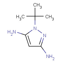 1248686-50-1 1-tert-butylpyrazole-3,5-diamine chemical structure