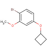 1353776-77-8 1-bromo-4-cyclobutyloxy-2-methoxybenzene chemical structure