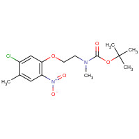 862874-04-2 tert-butyl N-[2-(5-chloro-4-methyl-2-nitrophenoxy)ethyl]-N-methylcarbamate chemical structure