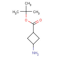 1173205-83-8 tert-butyl 3-aminocyclobutane-1-carboxylate chemical structure