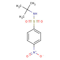 49690-09-7 N-tert-butyl-4-nitrobenzenesulfonamide chemical structure