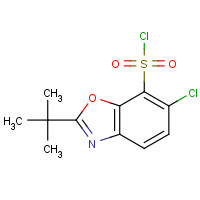 361392-60-1 2-tert-butyl-6-chloro-1,3-benzoxazole-7-sulfonyl chloride chemical structure