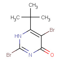 1307893-01-1 2,5-dibromo-6-tert-butyl-1H-pyrimidin-4-one chemical structure