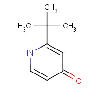1196074-16-4 2-tert-butyl-1H-pyridin-4-one chemical structure