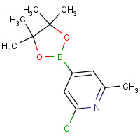 697739-22-3 2-chloro-6-methyl-4-(4,4,5,5-tetramethyl-1,3,2-dioxaborolan-2-yl)pyridine chemical structure