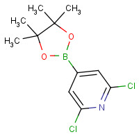 408492-27-3 2,6-dichloro-4-(4,4,5,5-tetramethyl-1,3,2-dioxaborolan-2-yl)pyridine chemical structure