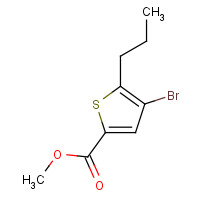 1047628-66-9 methyl 4-bromo-5-propylthiophene-2-carboxylate chemical structure