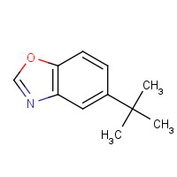 908011-92-7 5-tert-butyl-1,3-benzoxazole chemical structure