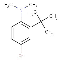 1079742-52-1 4-bromo-2-tert-butyl-N,N-dimethylaniline chemical structure