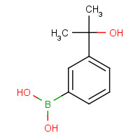 955369-43-4 [3-(2-hydroxypropan-2-yl)phenyl]boronic acid chemical structure