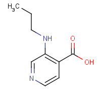 1461601-90-0 3-(propylamino)pyridine-4-carboxylic acid chemical structure