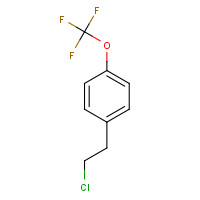 1339641-57-4 1-(2-chloroethyl)-4-(trifluoromethoxy)benzene chemical structure